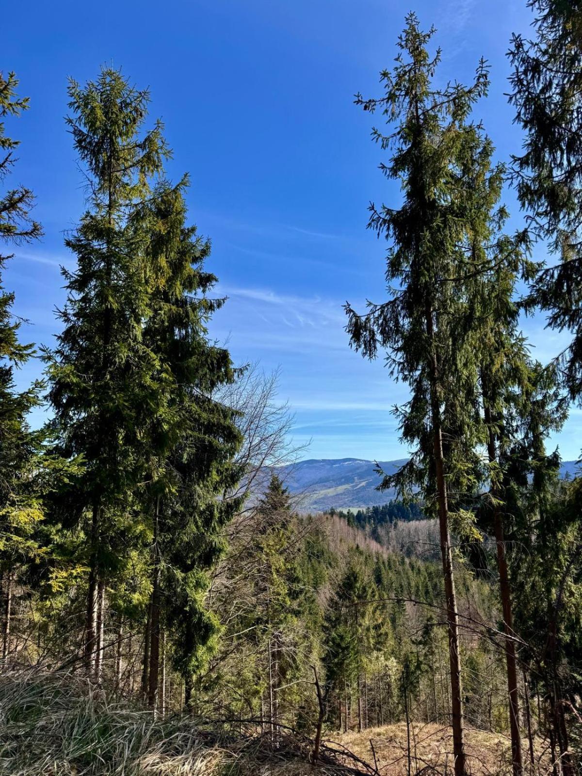 Готель Zacisze 3*